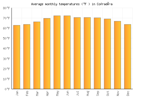 Cofradía average temperature chart (Fahrenheit)