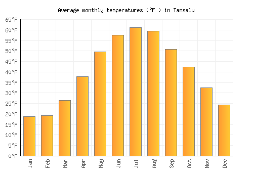 Tamsalu average temperature chart (Fahrenheit)